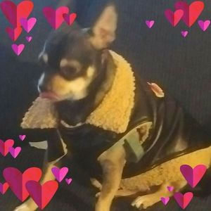 Meet your Posher, Sharon